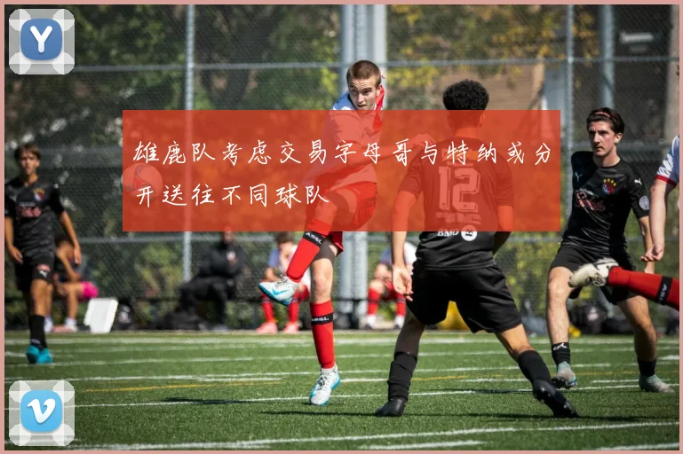 雄鹿队考虑交易字母哥与特纳或分开送往不同球队