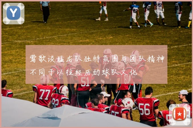 莺歌谈猛龙队独特氛围与团队精神不同于以往经历的球队文化